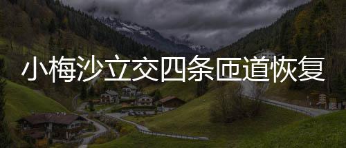 小梅车道恢复通交四条匝沙立