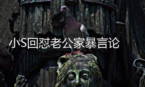 言论应维公小S老公回怼 罕护老家暴见严肃回