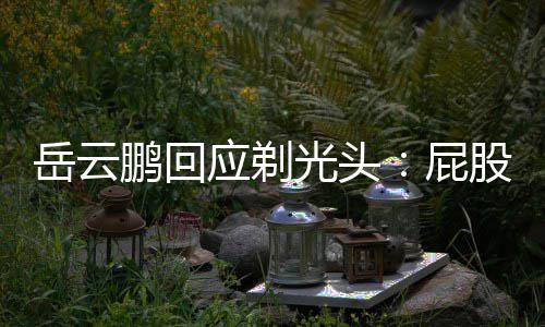 鹏回屁岳云应剃脂肪光头股上长了出院瘤做了手术刚