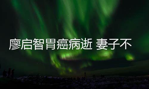 癌病一程智胃最后不眠不休廖启妻子逝 送他