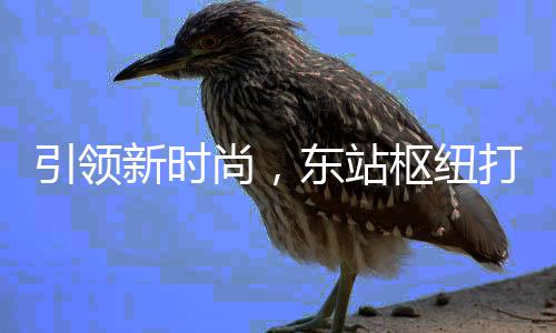 引领新时新模东站打造垃圾分类尚，枢纽式