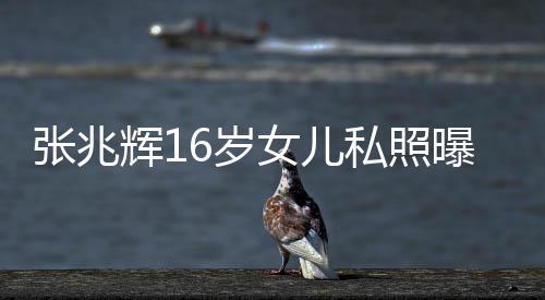 曝光张兆 撞最美港姐女儿脸李辉1嘉欣6岁私照