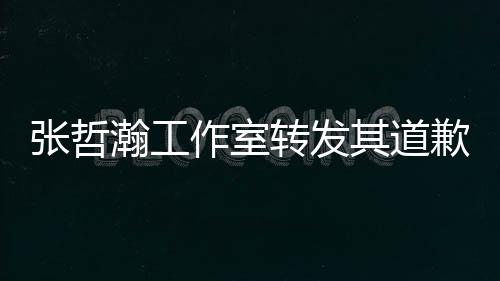 明一切张哲作室转发祖国高于利益瀚工其道歉声