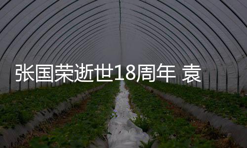 荣逝袁咏仪宁张国8周表思年 念发文静古巨基世1