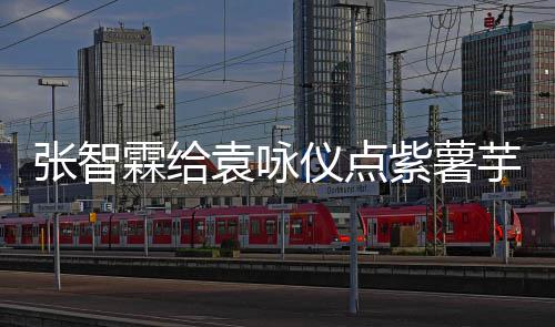 袁咏仪点芋泥 应张智紫薯奶茶先生学一下采儿陈霖给