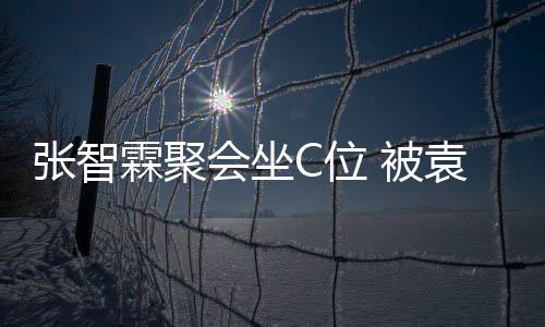绕袁咏仪章张智子怡 被等围霖聚会坐C位