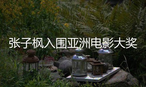 入围影大张子洲电主角 张子枫作品哪部围亚枫入奖最佳女