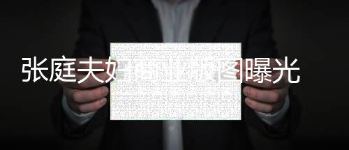 曝光阳关张庭 张关公版图林瑞联6夫妇家 9家庭相商业司有