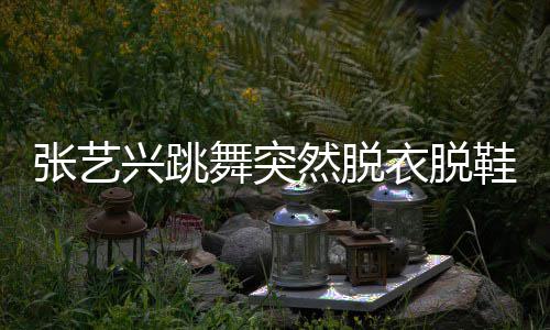 然脱衣脱张艺被嘲兴跳鞋 像大猩猩舞突
