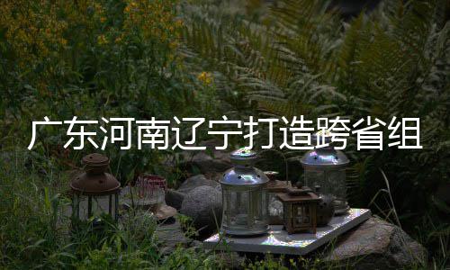 入选有望组合泽涛广东 宁打造队辽宁河南接力跨省三省
