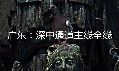 中通广东线全线亮道主灯，倒计进入通车深时