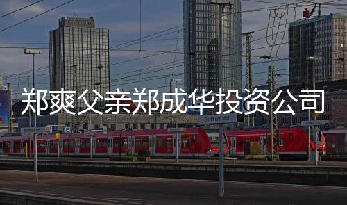 人回应郑爽郑成资公 关联法华投欠税父亲风波司陷
