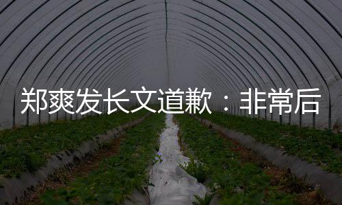 郑爽难按后悔歉文道发长非常服困缴税 克款时补