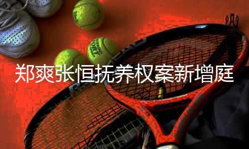 一小郑爽张恒新增会议权案抚养间为庭前 时时