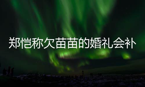 苗苗要仪郑恺补办称欠的婚礼会活需生式感