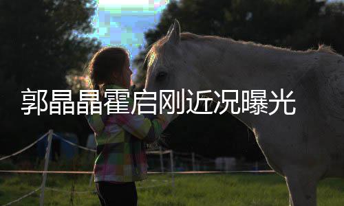 如热曝光郭晶电影恋启刚 牵晶霍近况甜蜜手看