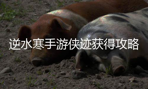 游侠逆水得攻略寒手迹获
