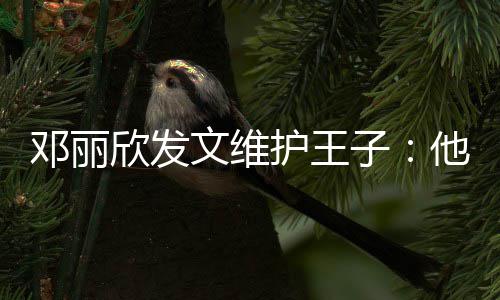 一个子男生欣发传统邓丽护王好的文维非常他是