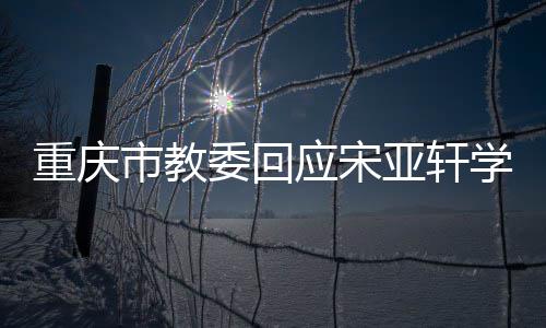 应宋亚轩一重庆规学籍程合切流委回问题法合市教