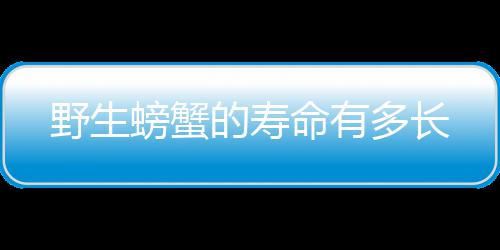 命有螃蟹野生的寿多长