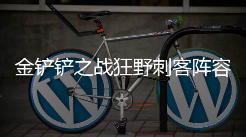 么搭容怎配野刺战狂铲之金铲客阵