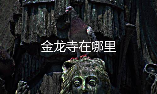 哪里金龙寺在