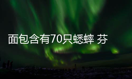 面包只蟋重口包含有味蟋芬兰推出蟀 蟀面