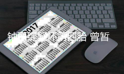 人工钟丽 曾暂缓怀第去普求子缇疑陀山四胎受孕