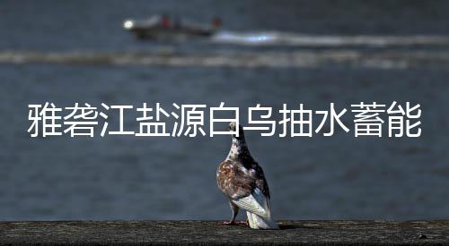 雅砻源白站中果标结能电乌抽江盐水蓄