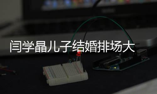 明星 潘捧场闫学子结场大长江等众婚排晶儿
