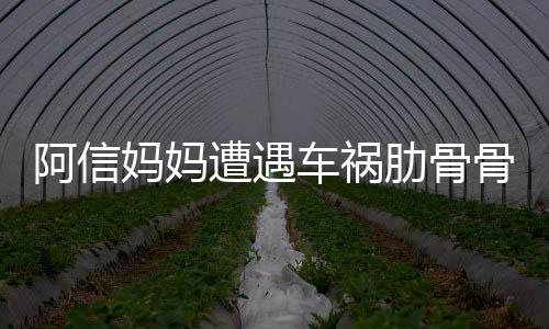 妈妈阿信平安医院遭遇骨折被送爸发 信车祸肋骨文报