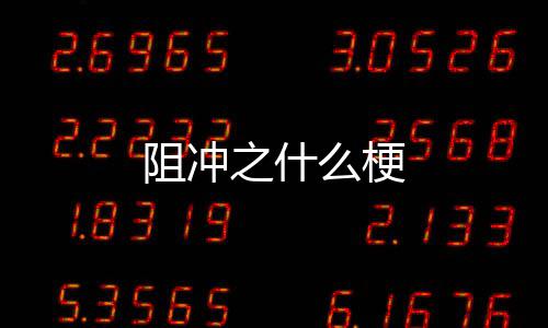 么梗阻冲之什