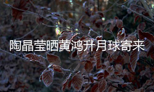 莹晒月饼 原已备来的来是黄鸿好球寄陶晶升月生前