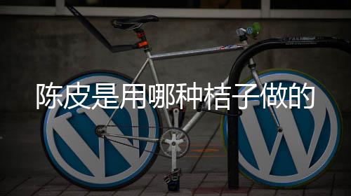 做的哪种陈皮桔子是用