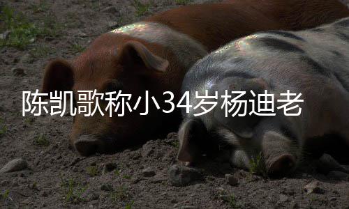 杨迪 杨知所歌称小3陈凯措表迪不老师情震惊4岁