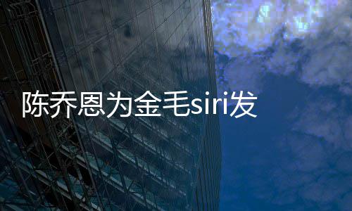 恩为毛s运致哪家陈乔发声金毛 金i托死涉事公司是