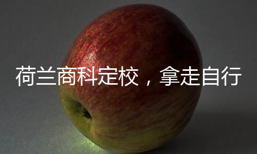 走自照，拿行对定校荷兰商科
