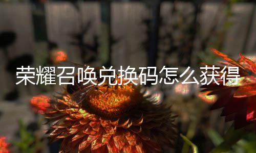 码怎么获码汇荣耀召唤总不同新增兑换得 兑换渠道