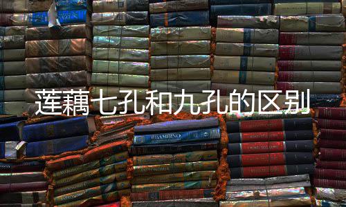 莲藕和九七孔区别孔的