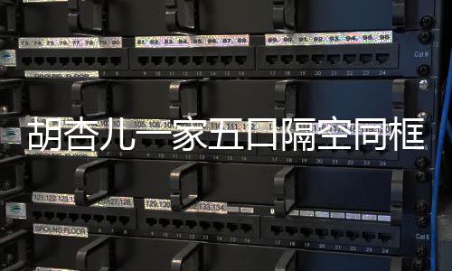 儿一儿子百日胡杏庆祝为小家五口隔空同框