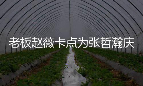 赵薇哲瀚 张哲瀚资料作品个人代表电视老板庆生为张剧卡点