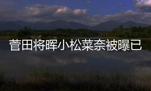 已同已有被曝男方小松菜奈打算菅田将晖居 结婚