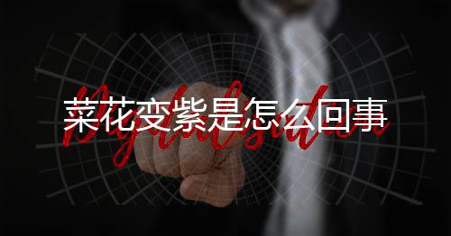 么回变紫菜花是怎事