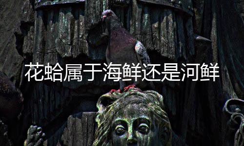 花蛤海鲜还是河鲜属于