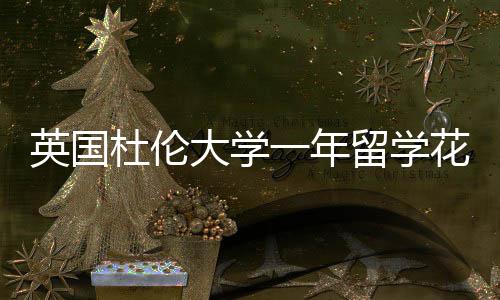英国一年预算指南杜伦大学留学花费
