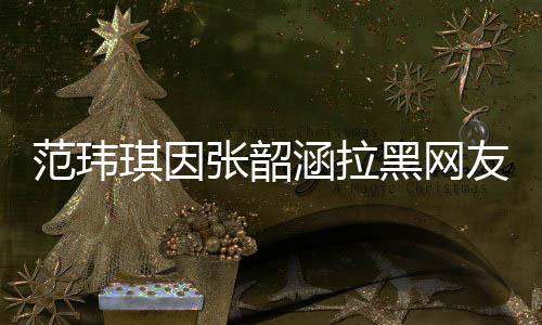 友 友澄张韶该网道歉涵拉黑网琪因清并范玮随后