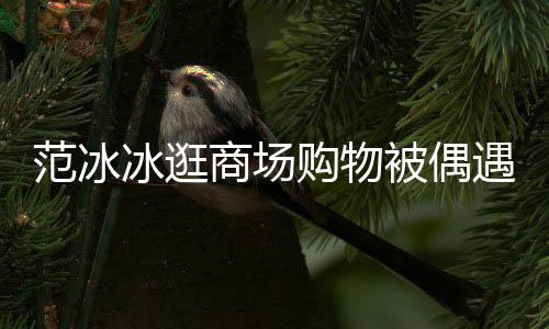 遇 购物冰逛被偶被赞打扮低调多范冰发量商场