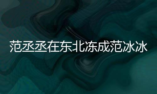应冰冰搞笑回丞在东北冻成范丞范冰范冰
