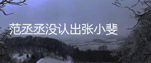 认出张小张伟把张小斐丞没 错情况范丞斐 叫成什么