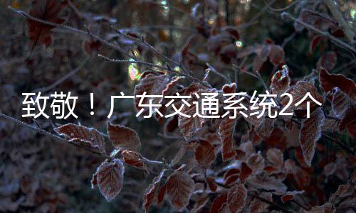 4名一劳致敬广个集个人国五东交动奖获全通系统2体